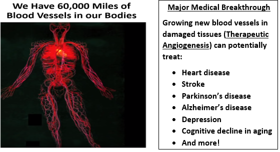 Zhittya Genesis Medicine slide describing therapeutic angiogenesis and the conditions it may treat